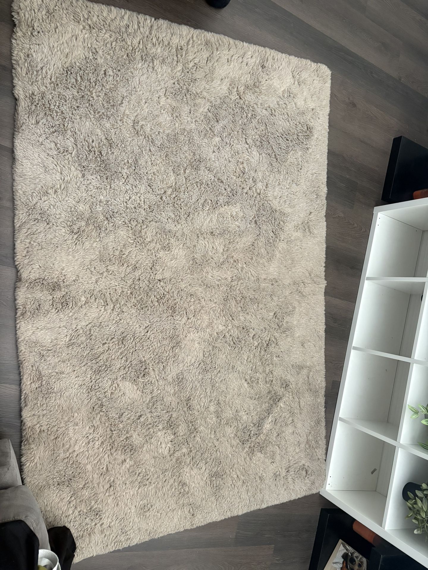 Soft Beige 4x6 Area Rug