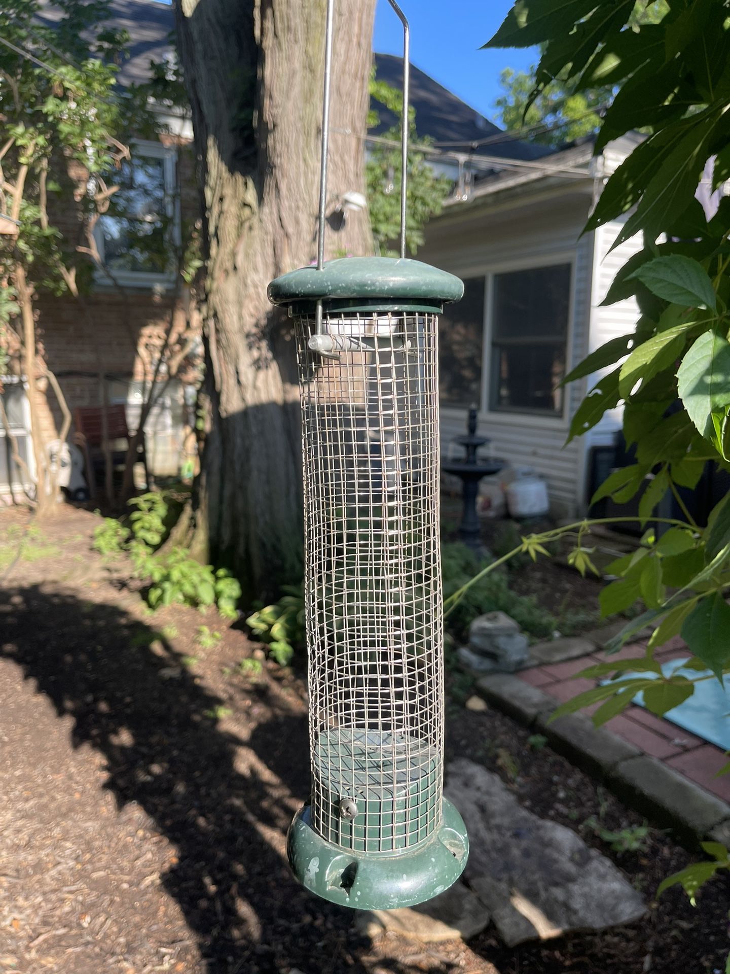 Bird Feeder