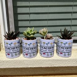 Teacher Appreciation Succulent Mini Pots