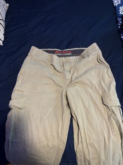 Dickies Flex Khaki Pants