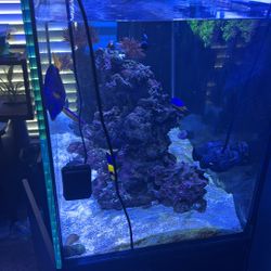 Aqua Japan 70 gallons