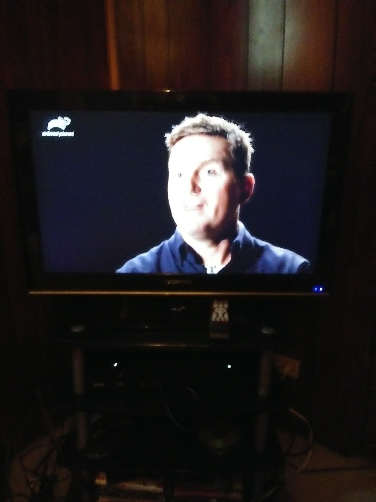 Sceptre 32in TV