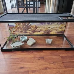 **Reptile Tank**
