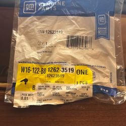 GM oem o ring for thermostat 