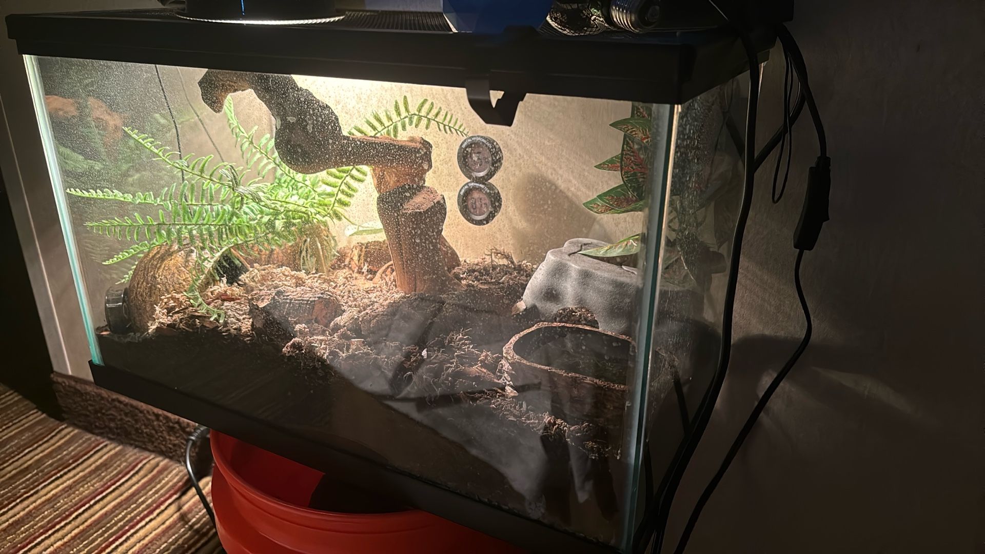 Reptile Tank