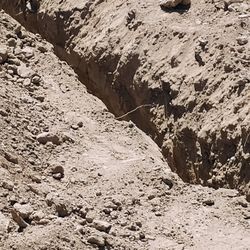 Landscape Jobs We Can Do Everything Small Work If You Need Help With Something Feel Free To Ask 