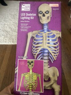 LED Skeleton lighting Kit