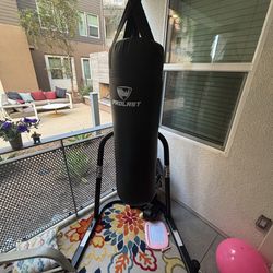 Punching bag and stand