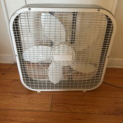 Fan