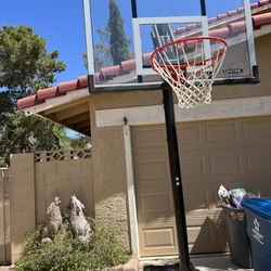 Lifetime Shatter proof Basketball hoop