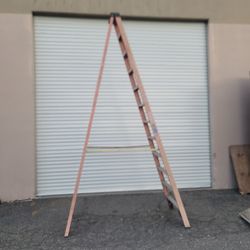 16ft Werner Ladder