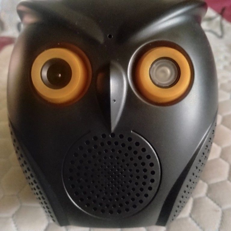 OWL BLUETOOTH CAMERA
