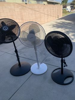 Oscillating Standing Pedestal Fans - Lasko & HomePointe