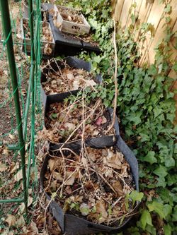 Grow Bags