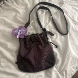 Vintage Coach Purse
