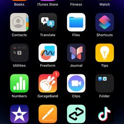 Iphone 14pro Max With TikTok app