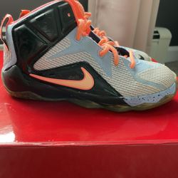 LEBRON 12 EASTER (youth)