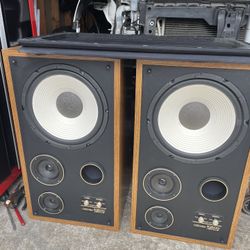 Acoustic Monitors PSM 1250 Hi-power Stereo Speakers