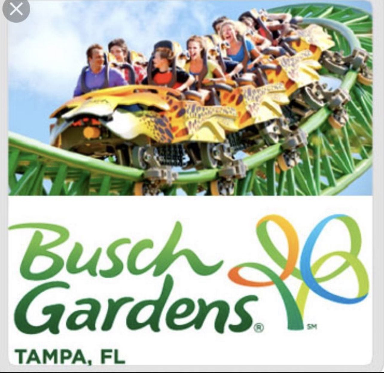 BUSCH GARDENS TICKETS