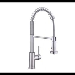Glacier Bay Spring Paulina Pull Down Stainless Steel