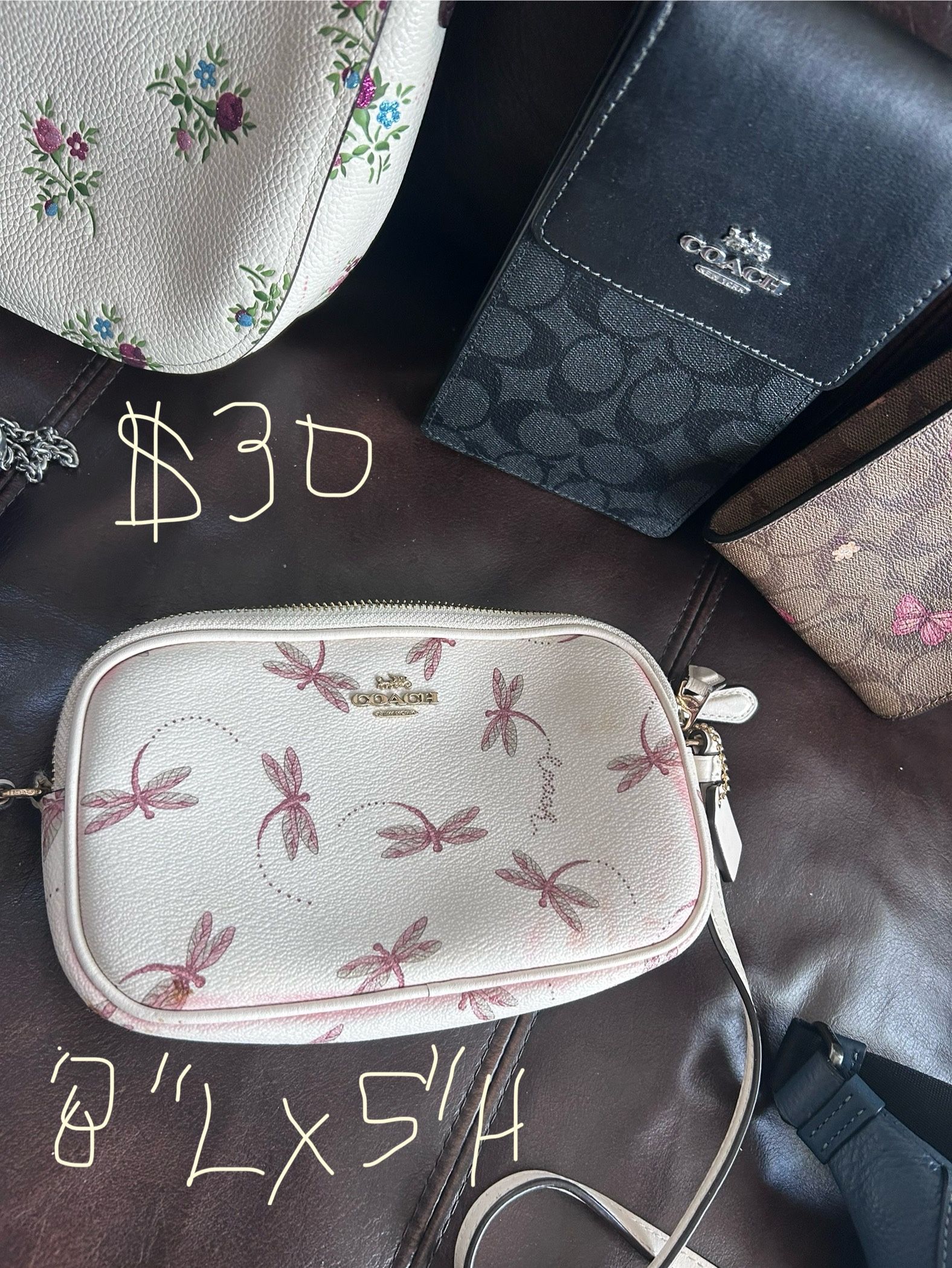 Dragonfly Small Purse from a famous maker