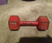 15pd dumb bell