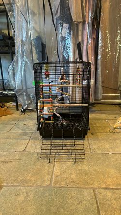 Bird Cage 