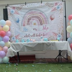 Gender Reveal Backdrop 7x5ft