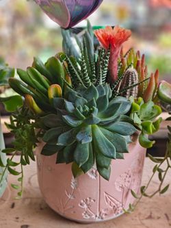 Beautiful Vases with Succulents Arrangements