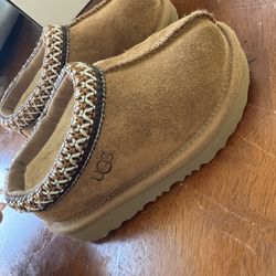 7T UGG Tasman