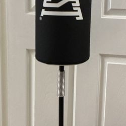 Everlast punching bag and adult everlast 12 0z gloves