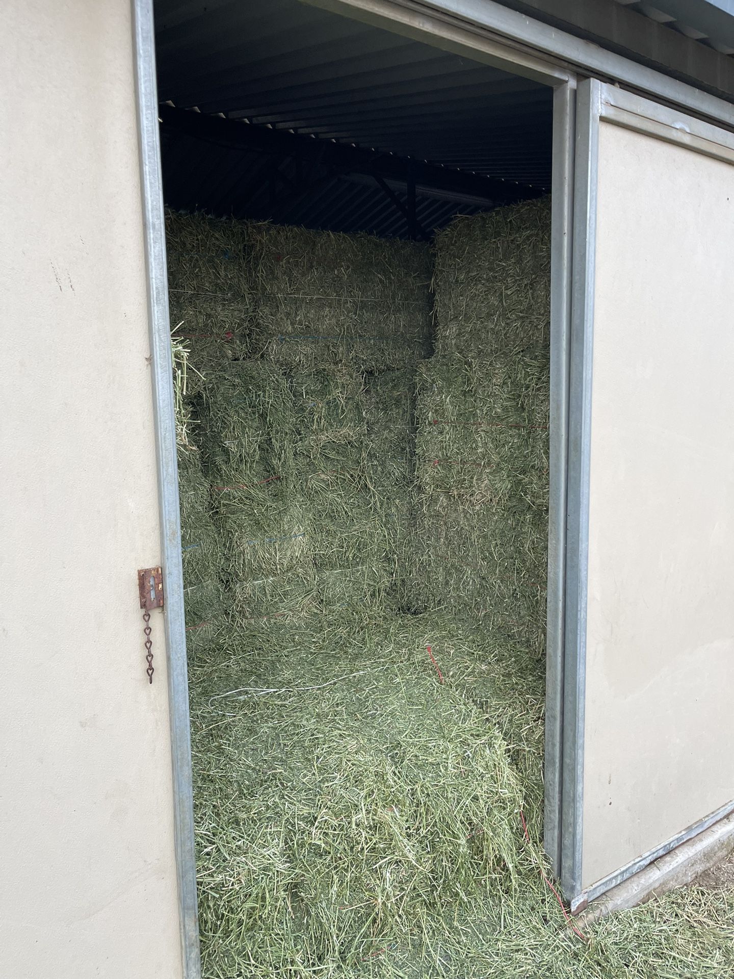 Hay Alfalfa