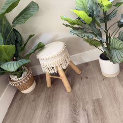 Plants And Stool