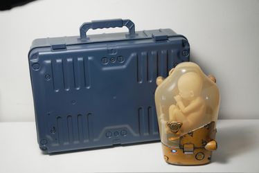 Death Stranding Collector's Edition | Custom FX BB Pod & Case
