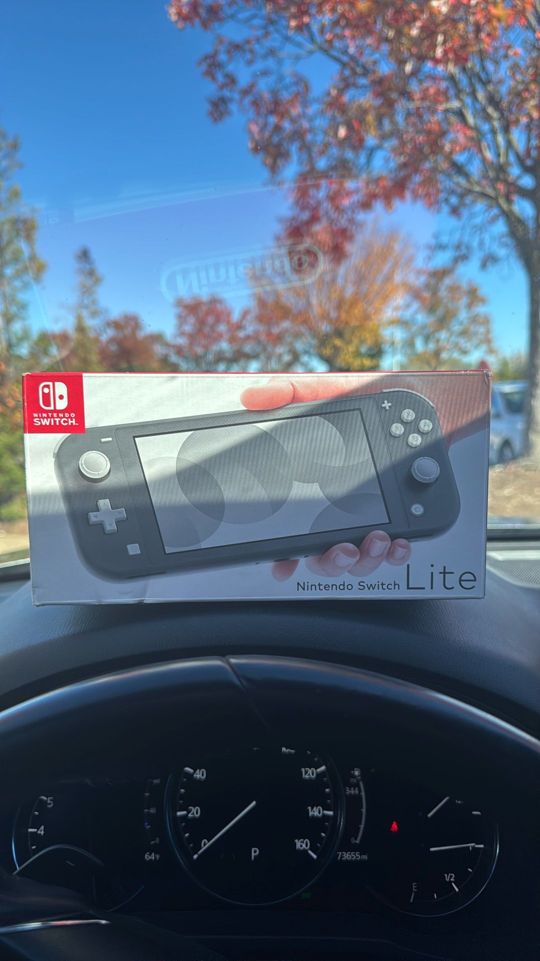Nintendo Switch Lite