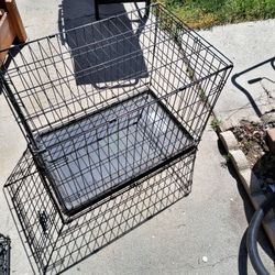 Dog kennels 