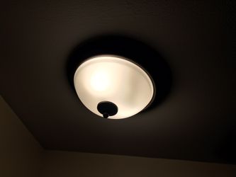 Mount Ceiling Light