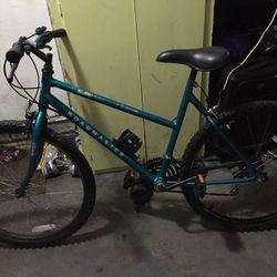 Road Master Bicycle 