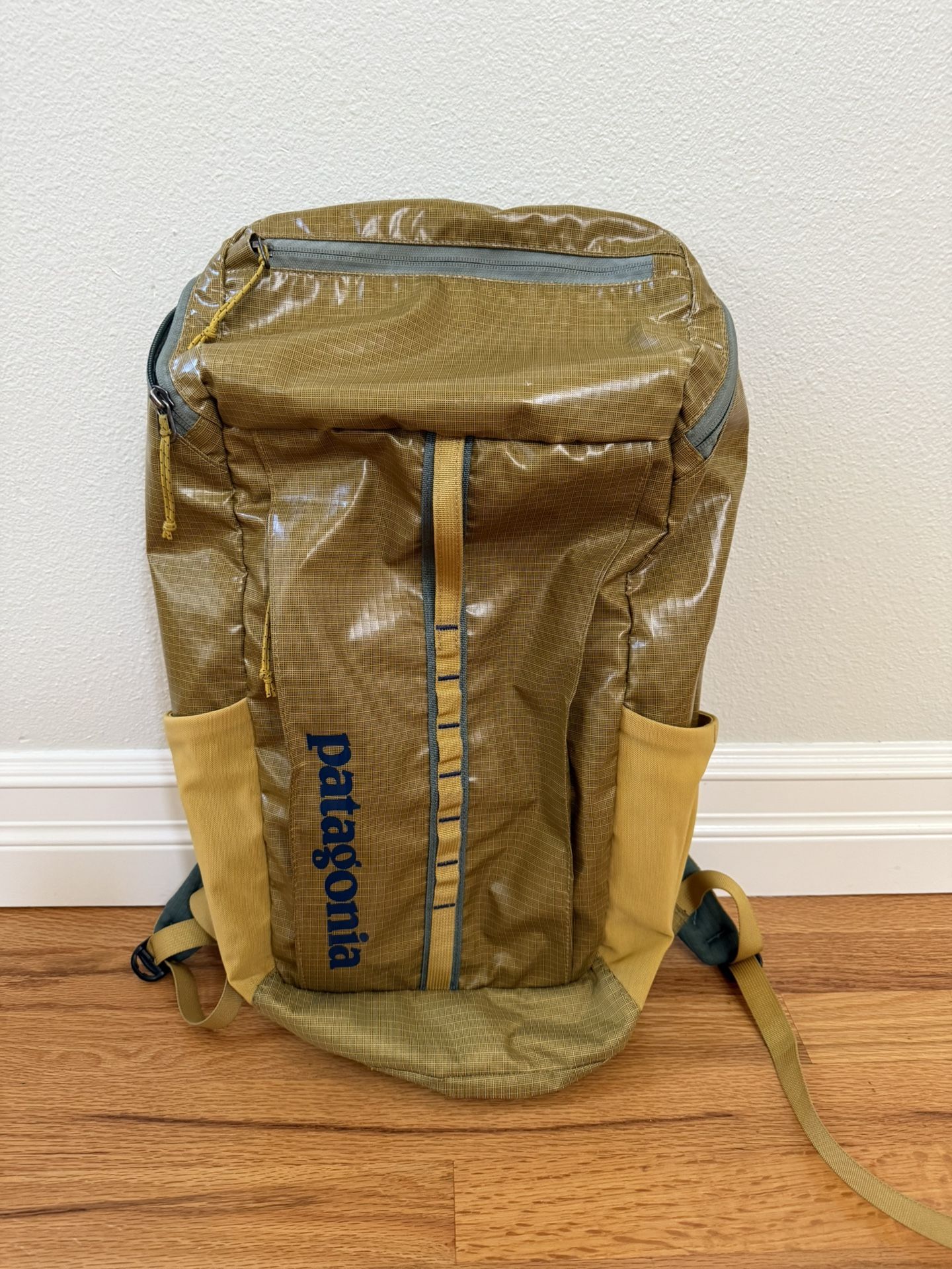 Patagonia 25l Blackhole Backpack