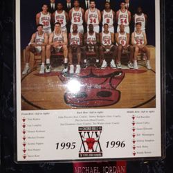 *Michael Jordan* Chicago Bulls 1(contact info removed) Team Picture