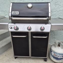 Weber Bbq Grill 