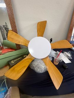 Fanpuda Ceiling Fan with Light