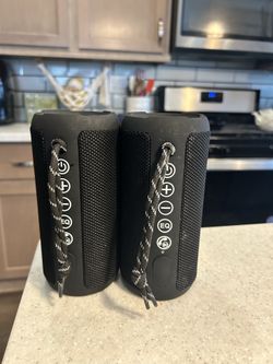 Two Ortizan speakers