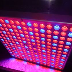 3x  75W Led Grow Lights