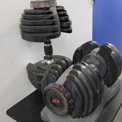Pair of Bowflex SelectTech 552  adjustable dumbbells