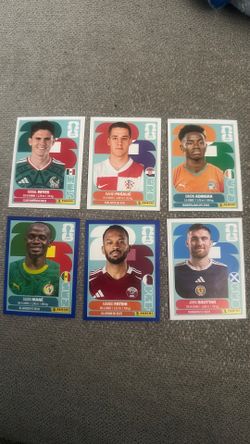 FIFA Panini Sticker