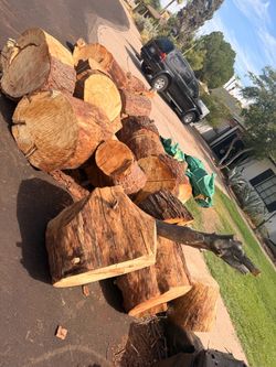 FREE Large Cut Tree Logs / Wood Rounds