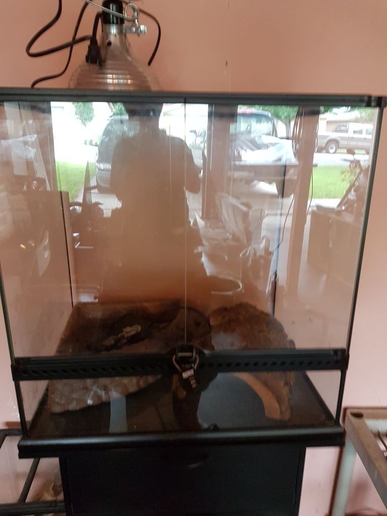 Exo Terra terrarium and stand 24x24x36 including supplies