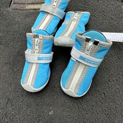 New Dog Shoe Size 4