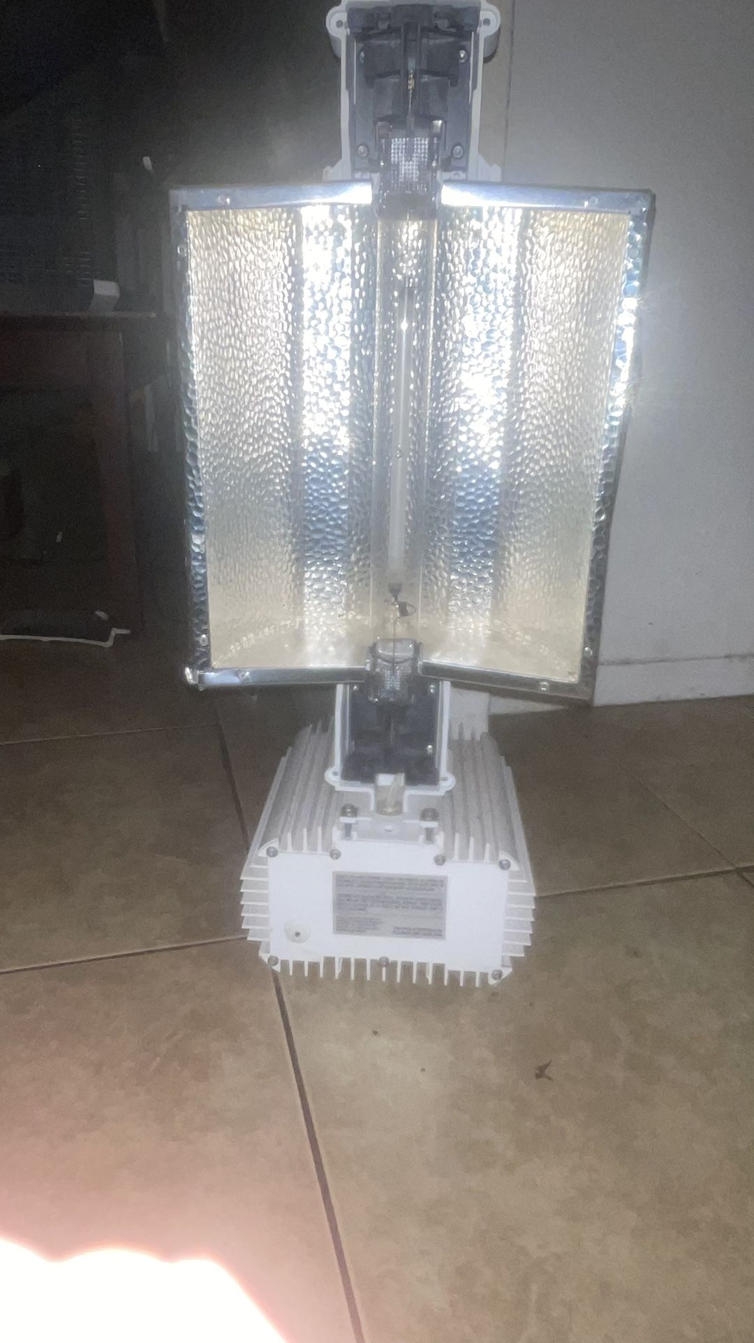 Lamp